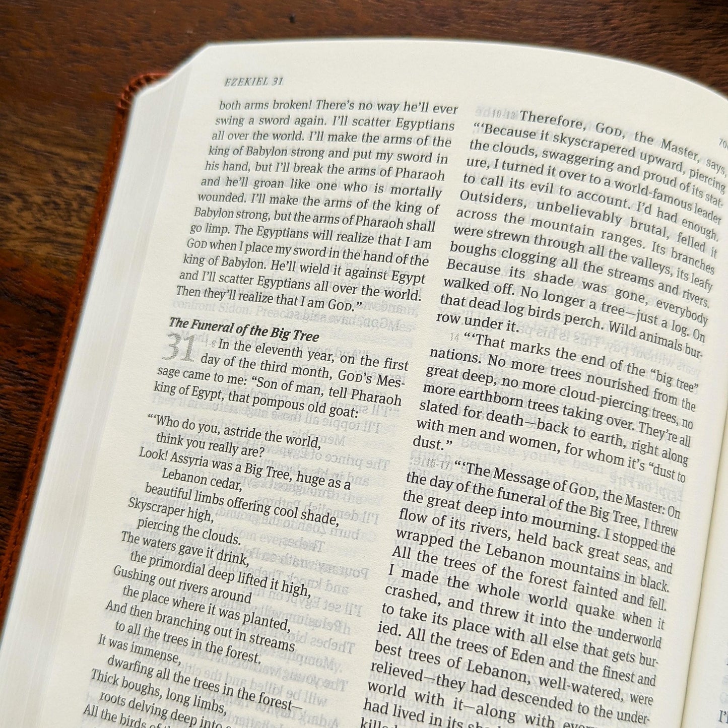Personalized Message Bible | The Message Translation | Custom Engraved Name | Deluxe Gift Bible | Contemporary Language Wedding Bible