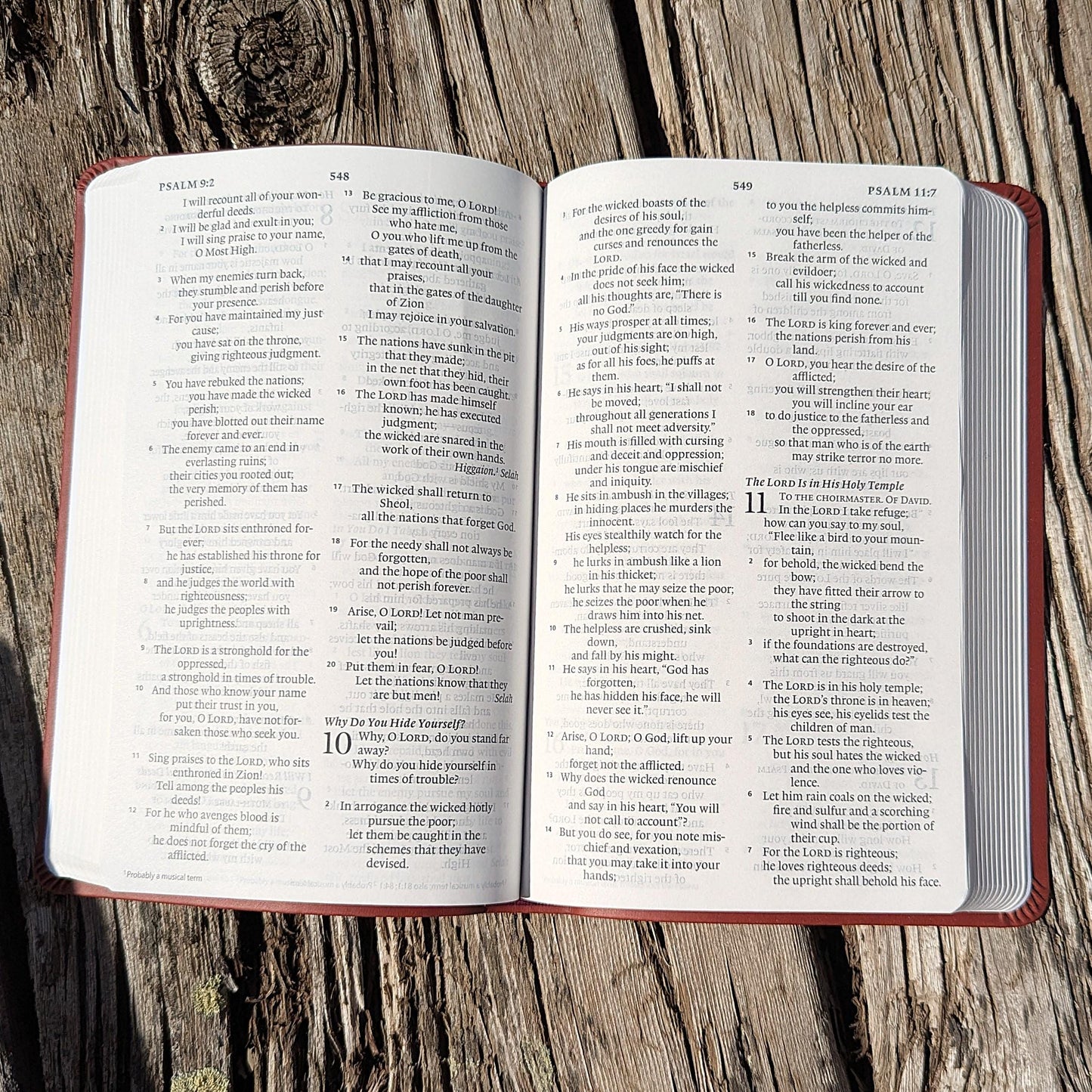 Personalized ESV Bible | Portable Large Print | Custom Engraved Name | Easy-to-read Study Bible | Sunflower Christian Gift