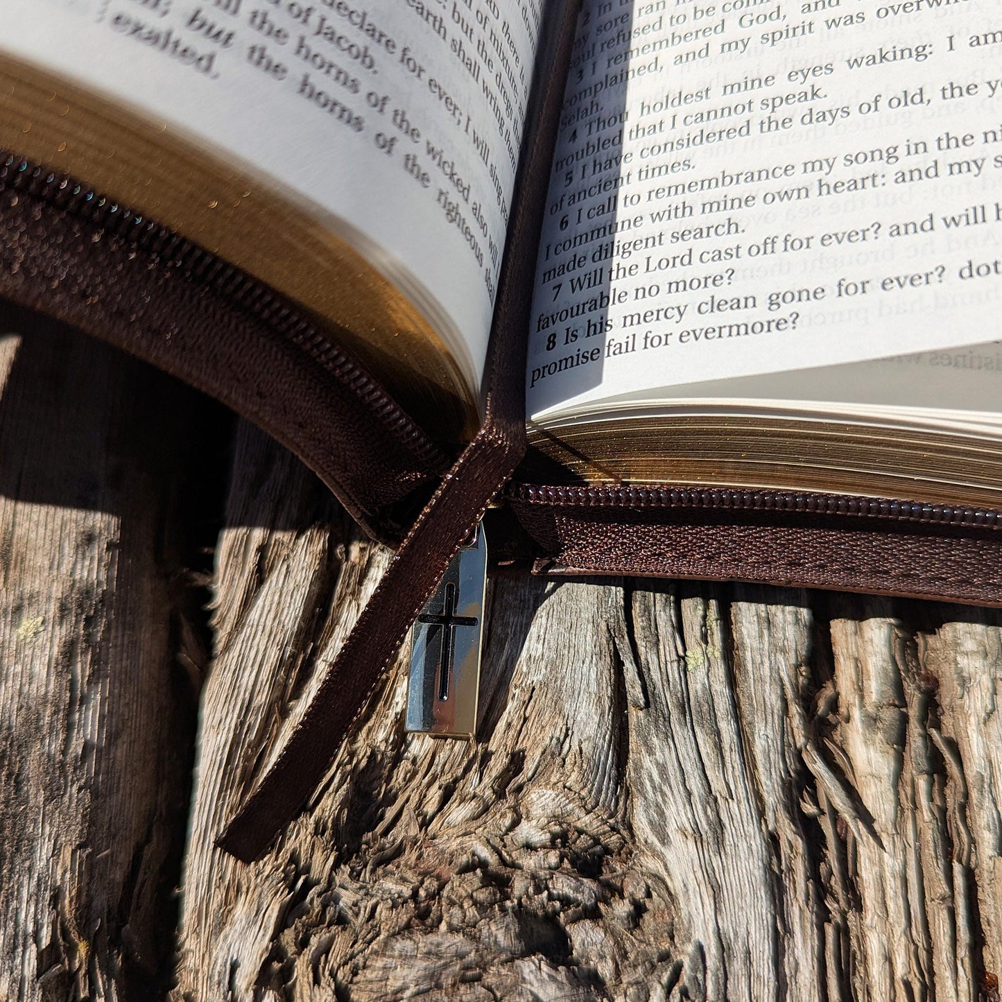 Personalized KJV Bible | King James Version | Custom Engraved Name |  Easy-to-Read Study Bible | Lion Bible Christian Gift