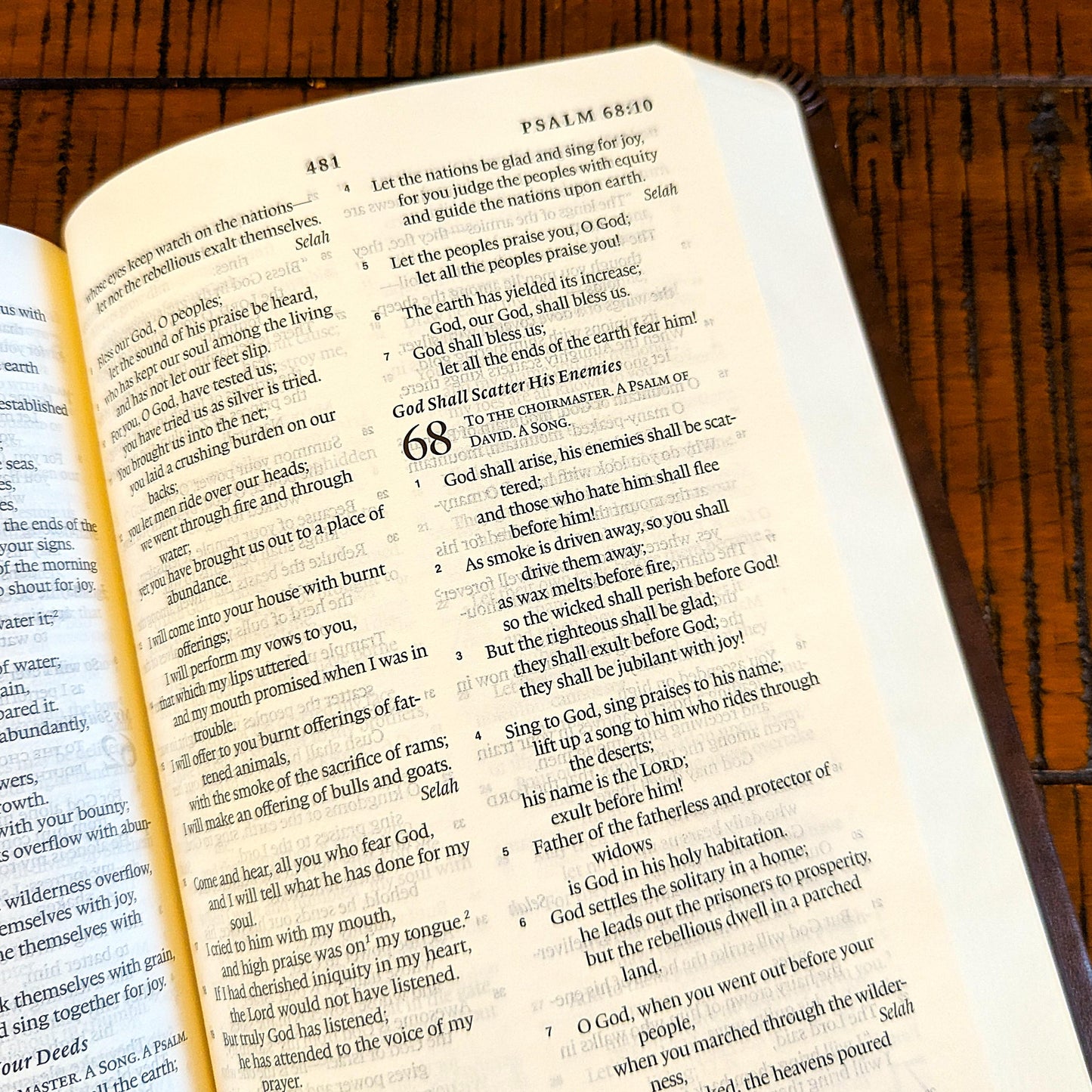 Personalized ESV Bible | Portable Large Print | Custom Engraved Name | Easy-to-read Study Bible | Sunflower Christian Gift for Her