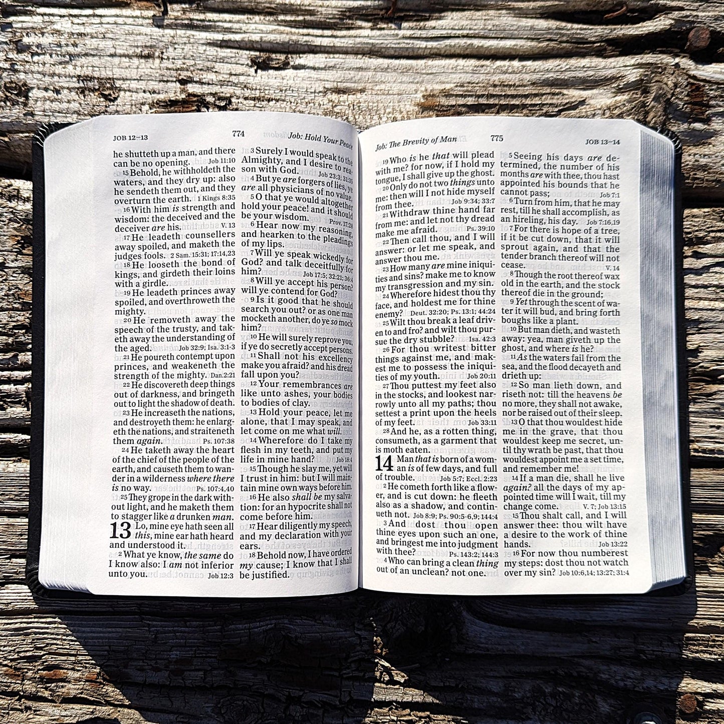 Personalized KJV Large Print Personal Size Reference Bible | Custom Engraved Name | Easy-to-read Bible | Crown of Thorns Gift