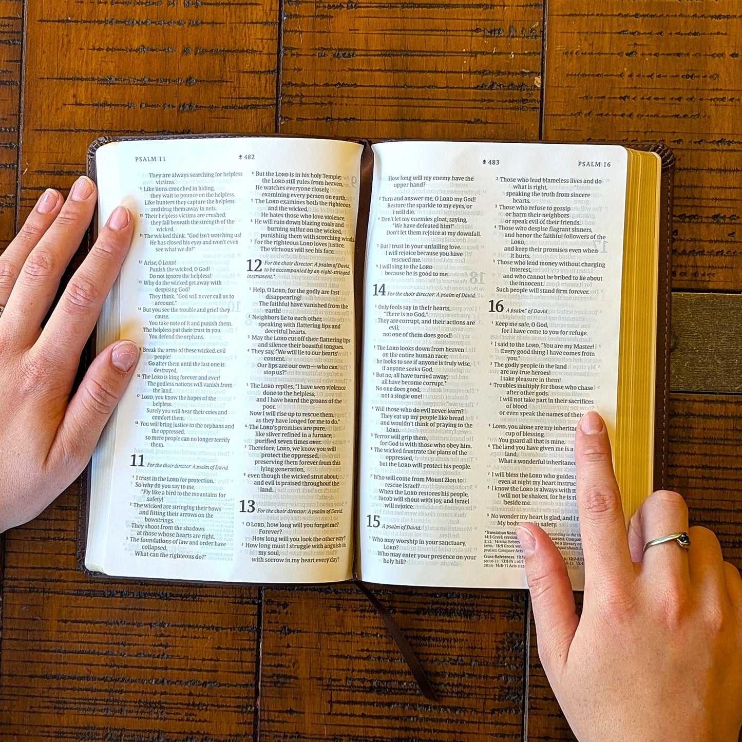 Personalized NLT Thinline Reference Bible | Custom Engraved Name | App Enabled | Portable Study Bible Gift for Men & Women