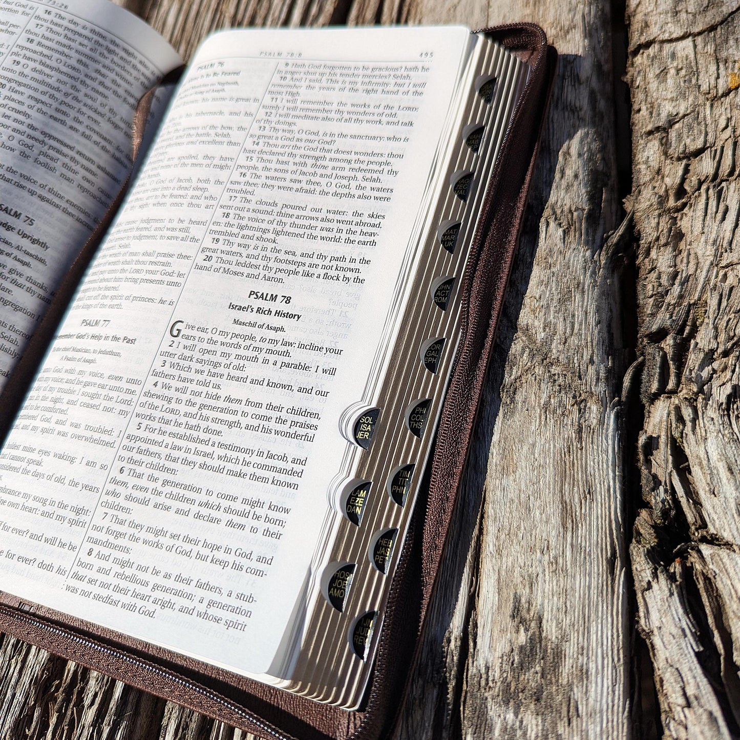 Personalized KJV Bible | King James Version | Custom Engraved Name |  Easy-to-Read Study Bible | Lion Bible Christian Gift
