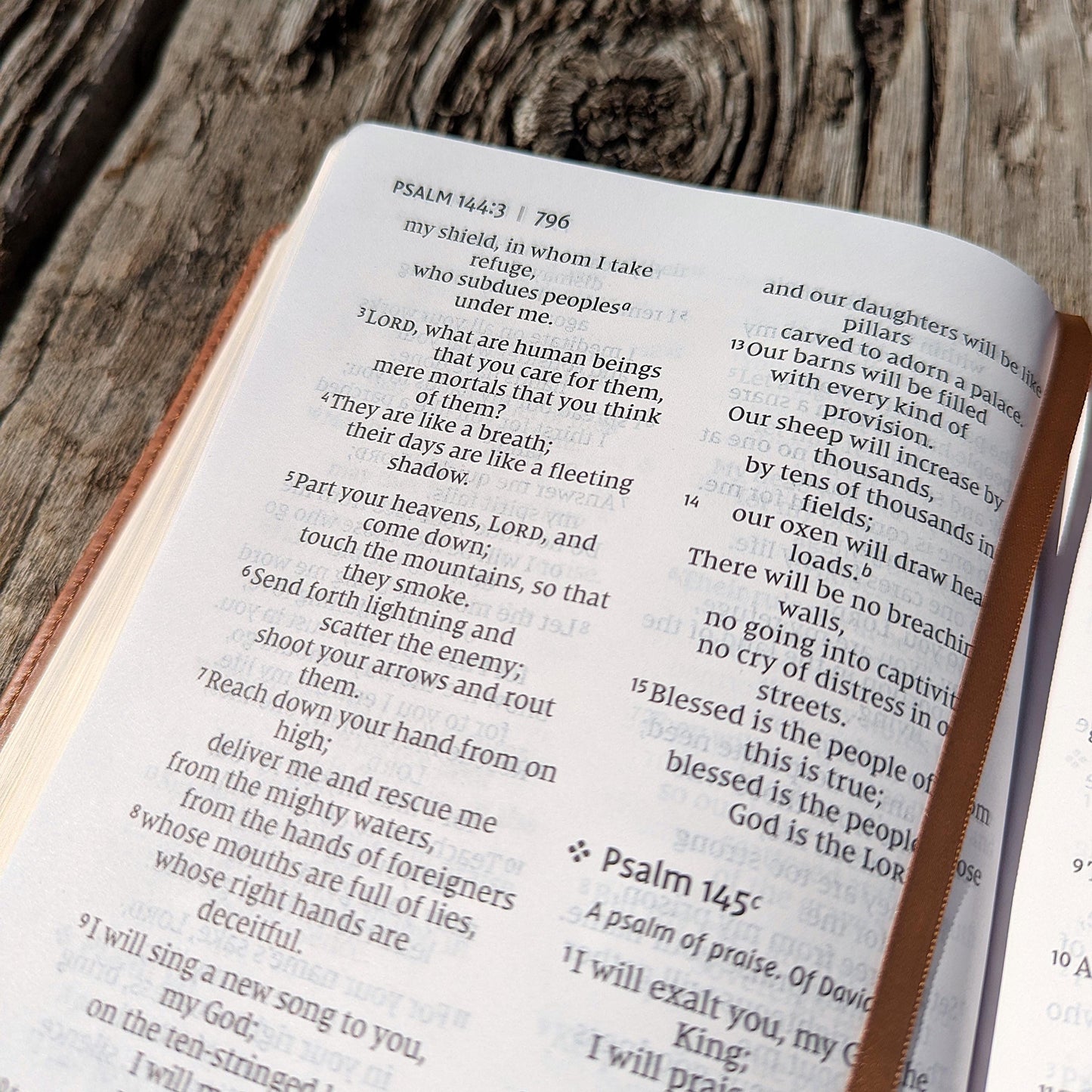 Personalized NIV Bible | Custom Engraved Name | Large Print